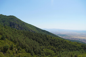 Obraz premium mountain landscape nature forest trees stones rocks Balkans Bulgaria