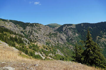mountain landscape nature forest trees stones rocks Balkans Bulgaria