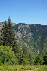 mountain landscape nature forest trees stones rocks Balkans Bulgaria