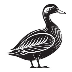  black goose Silhouette Vector, High Quality Illustration on White Background