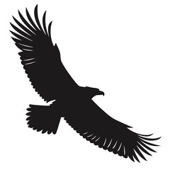 eagle vector illustration