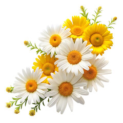Fresh daisies and yellow flowers in a corner arrangement  © JAKEYA