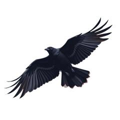 Naklejka premium Black crow with outstretched wings flying in air showing detailed feathers and sharp beak