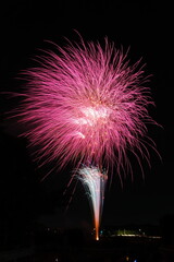 花火 日本の夏 さいたま市