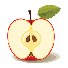 Detailed Cross Section of a Red Apple with Core and Leaf - Vector Illustration
