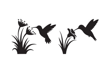 Fototapeta premium Silhouettes of hummingbirds feeding on flowers