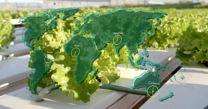 At one second map fading in, hydroponic lettuce trough showing clocks visualizing global time zones