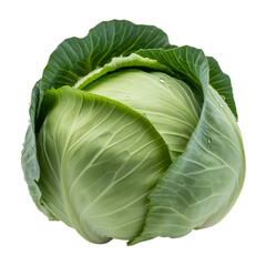 Fototapeta premium Fresh vegetable Cabbage isolated on white background 