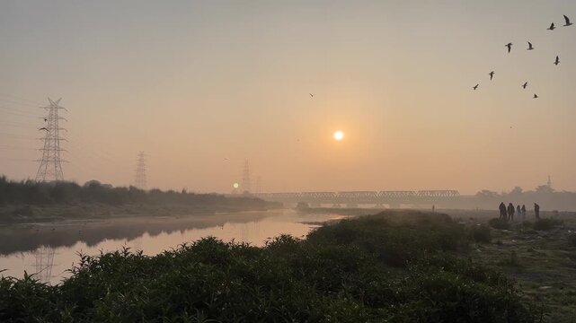 Siberian seagulls flying at Yamuna Ghat with sun rising at Delhi, India