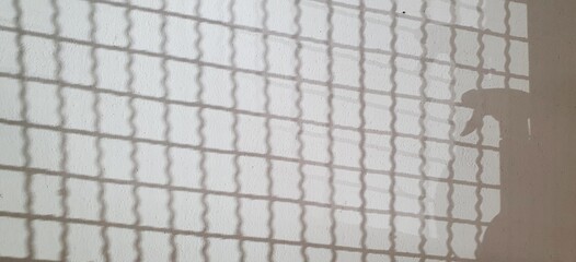 Abstract shadows of a wavy grid and a spray bottle are cast on a wall. A concept for cleaning,...