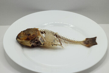 dead fish in the laboratory