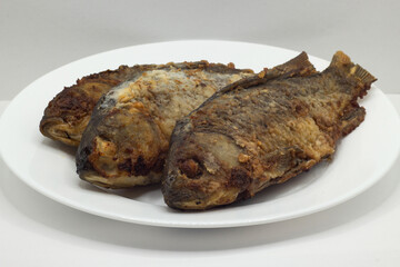 fried fish in white plate on white background