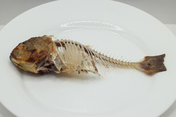 fish in the plate, close - up