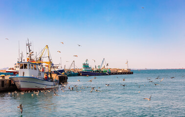  Nessebar Port Rybacki - Bułgaria  © Wojciech Lisiński