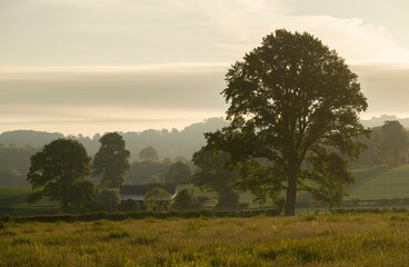 Cotswold farmland