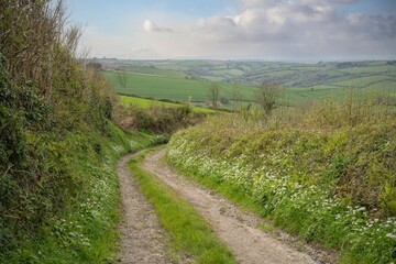 Devon lane near Dittisham