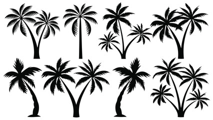 Fototapeta premium Silhouette Palm Tree Vector Set – Tropical Coconut Tree Icons for Beach, Summer, Travel, Paradise, Island, and Nature Design Elements in Black