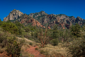 Sedona Mountain View