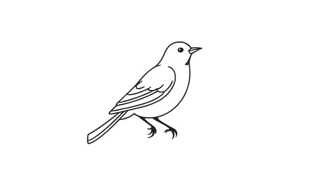 bird drawing, cartoon bird, realistic bird vector, sparrow illustration, parrot vector, dove illustration, eagle vector, hummingbird illustration, bird clipart, cute bird vector, bird art, small bird 