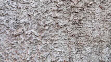 Rough Gray Stucco Wall Texture Background with Uneven Surface and Detailed Patterns.