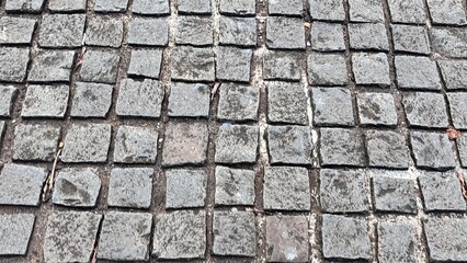 Gray Cobblestone Pavement Texture with Mortar Joints and Debris.