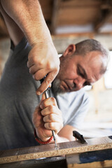 Male Carpenter Working with Wood