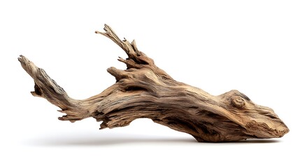 Driftwood isolated on the white background 