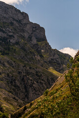Paisaje en Poncebos, Picos de Europa.