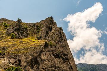 Paisaje en Poncebos, Picos de Europa.
