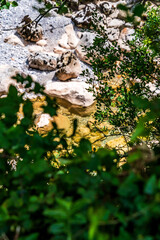 Rio Cares en Bulnes, Picos de Europa.