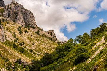 Paisaje en Poncebos, Picos de Europa.	