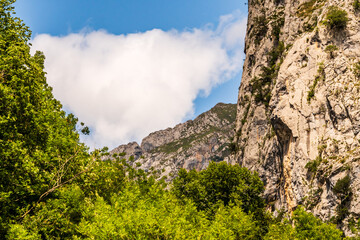 Paisaje en Poncebos, Picos de Europa.	
