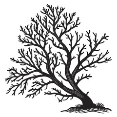 Naklejka premium tree silhouette vector