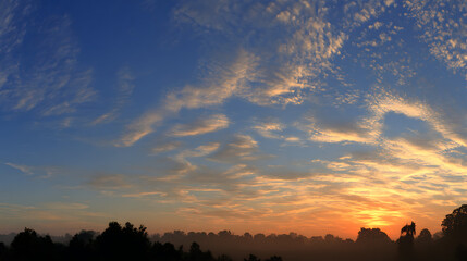 Fototapeta premium Golden sunrise illuminating wispy clouds over silhouetted trees dawn
