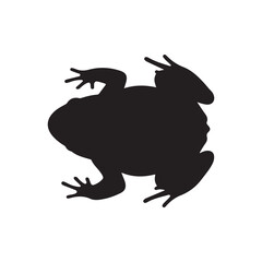 Top view toad silhouette vector flat illustration design on white background