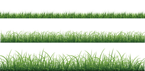 Green Grass Isolated White Background