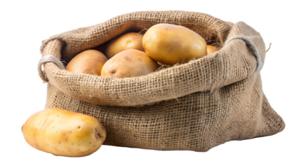 potatoes in a basket