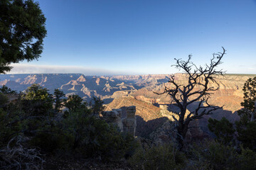 Grand Canyon National Park South Rim Landscape in Summer