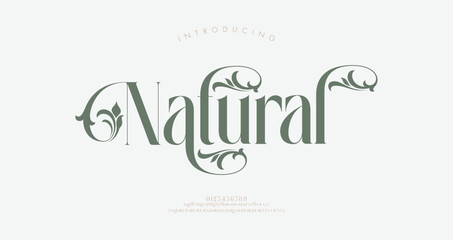 Elegant nature alphabet letters font and number. Typography Luxury classic lettering serif fonts decorative wedding vintage retro concept. vector illustration