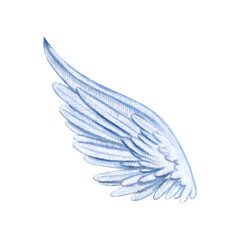 Fototapeta premium Watercolor illustration of a delicate blue angel wing on a white background, hand-painted in boho style. Perfect for nature art, decor, prints, and design projects.