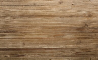 backgrounds and textures concept - wooden texture or background