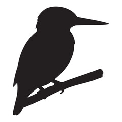 Silhouette of a kingfisher perched on a branch