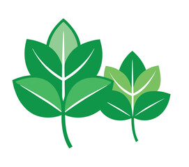 Two Stylized Green Leaves on White Background leaf