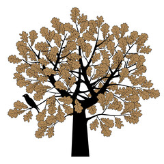 Drawing of oak tree crown with branches and brown leaves and  bird in color vintage linear and engraving style isolated on white. Vector illustration