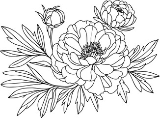 Set outline peony spring, doodle Collection floral stems. Hand drawn Buttercup Botanical drawing. Detailed line art peonies illustration. Simple Stylized anemone flowers. Black blossom sketch Ranuncul