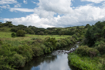 Fototapeta premium Landscape with a small river in the countryside, brazil