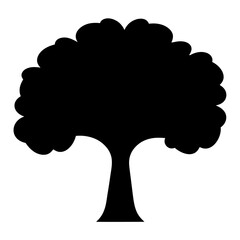 Black Silhouette of a Broadleaf Tree with Dense Canopy and Trunk