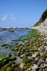 Rocky coastline with seaweed covered stones and cliffs along the Baltic Sea shore under blue sky in Bornholm Denmark
