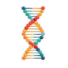 Illustrative representation of human DNA