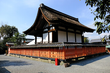Fototapeta premium 京都、宇治神社、神社、鳥居、石燈籠、春、木造建築、木、綠色、青空、写真素材